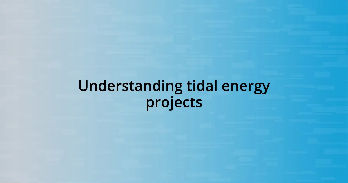 Understanding tidal energy projects