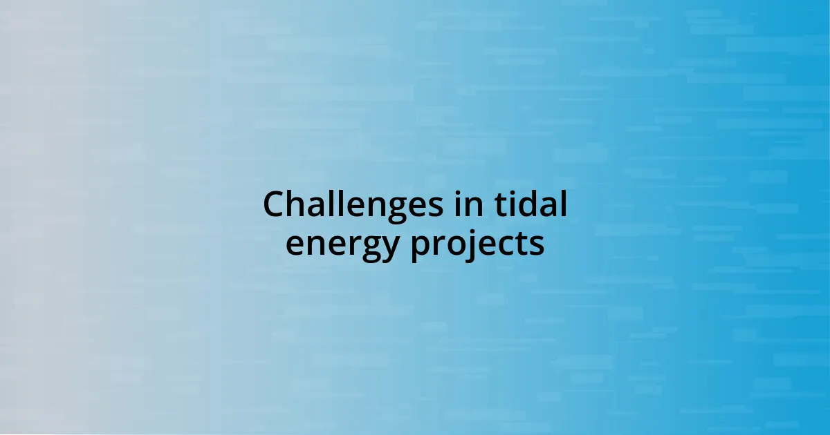 Challenges in tidal energy projects